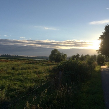 abendliche Landschaft am Selliner See