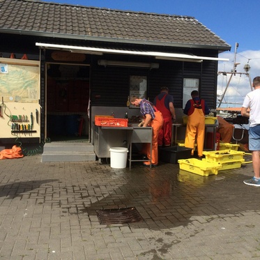 Fischer Koldevitz im Hafen von Gager