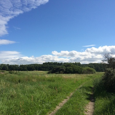 Landschaft auf Rügen